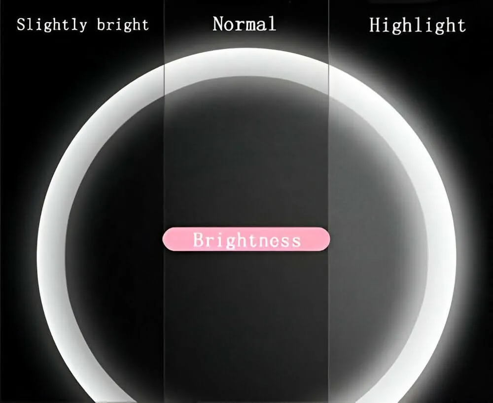 5X LED Makeup Mirror with Cooling Breeze & Illuminating Light