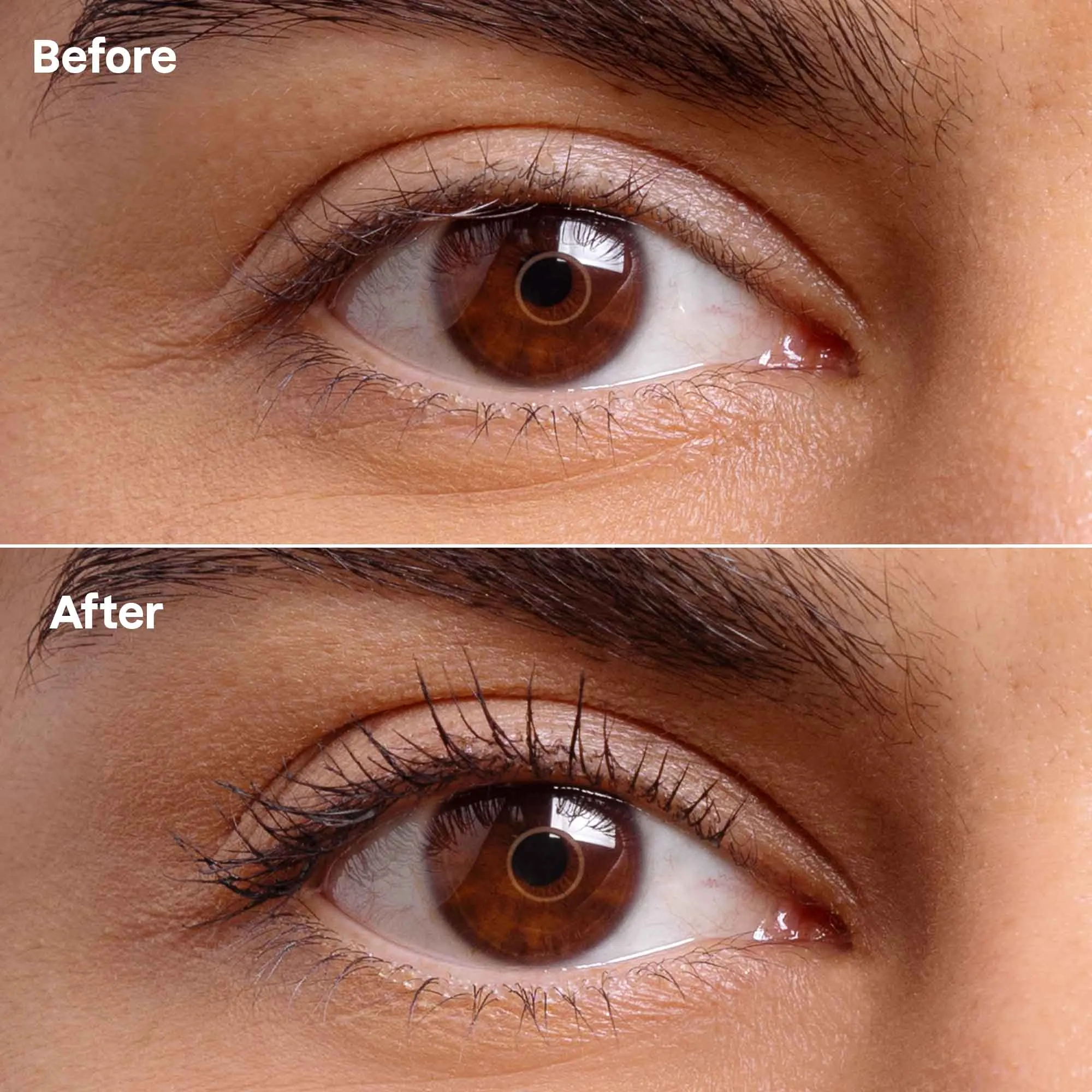 Eye makeup kit - Brown : Oceanly - Makeup