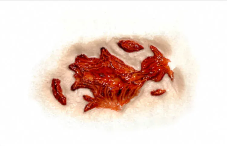 Gash 3D FX Transfer: Medium