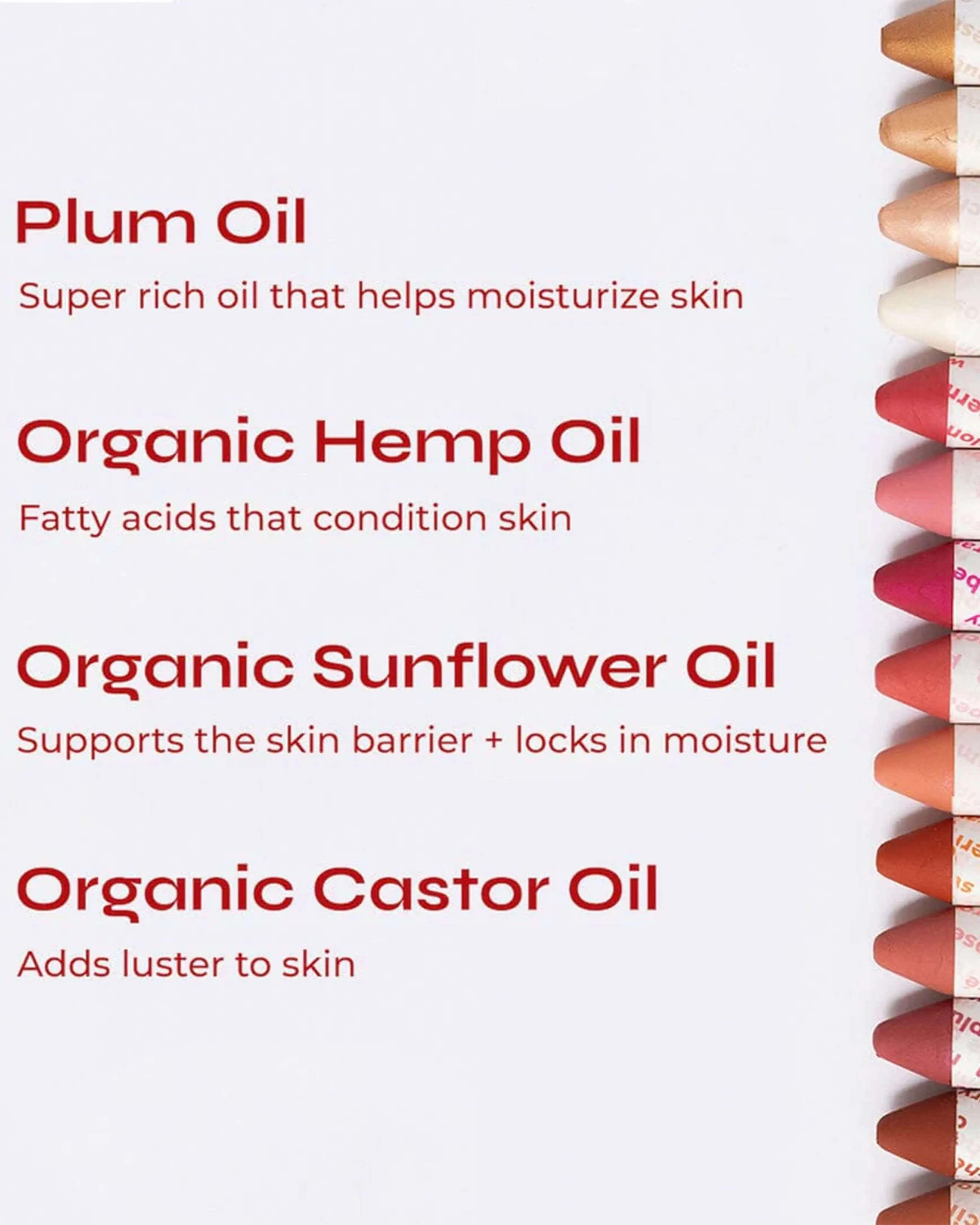 Golden Hour Lip-to-Lid Trio