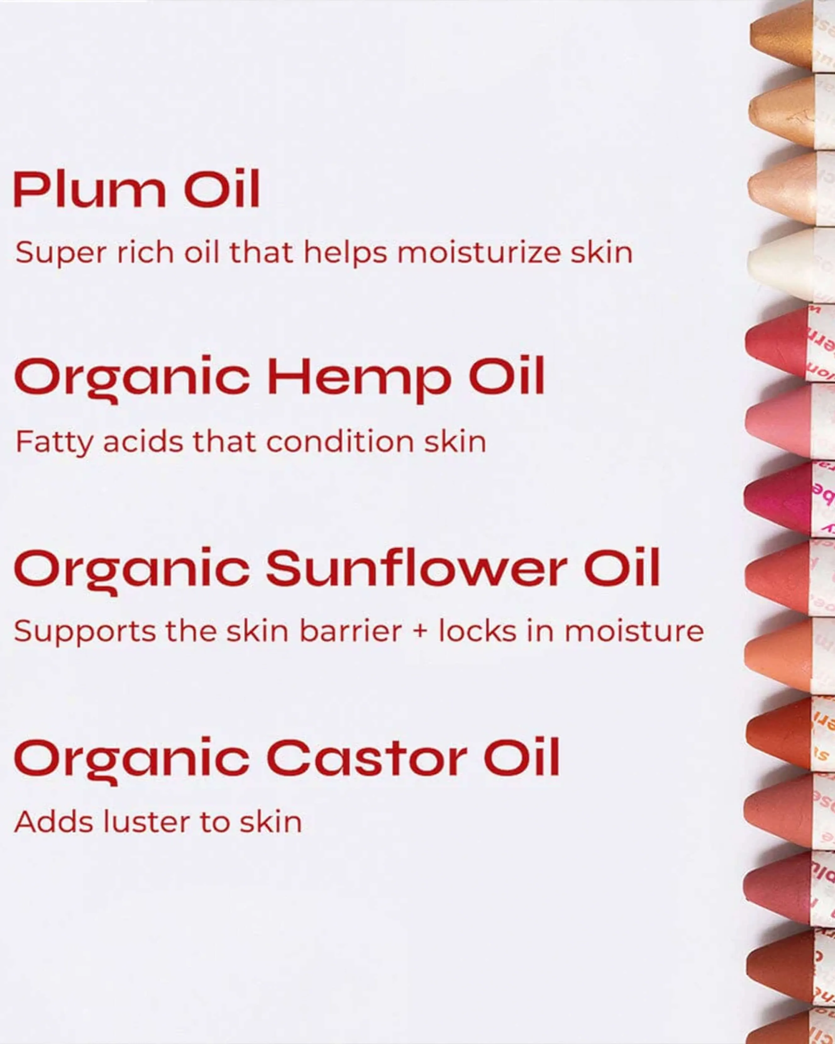 Nude Plum   Rose Balmie Duo